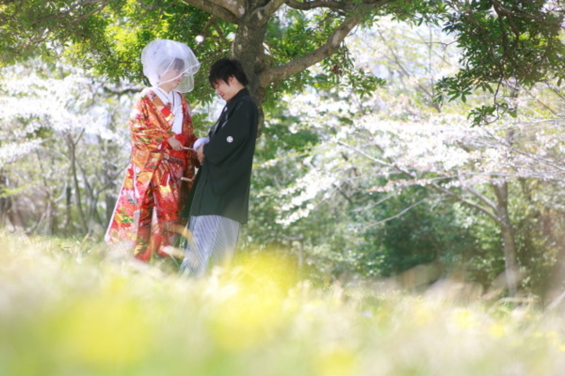 ピュアアーティス(小島 靖雄)が撮影した「その他フォト」の写真