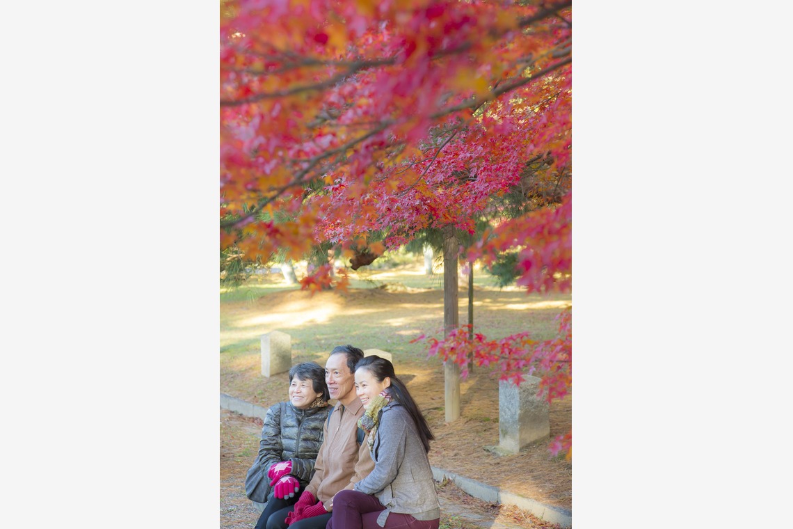 Fotocrossが撮影した写真のアルバム「海外のお客様、インバウンド」