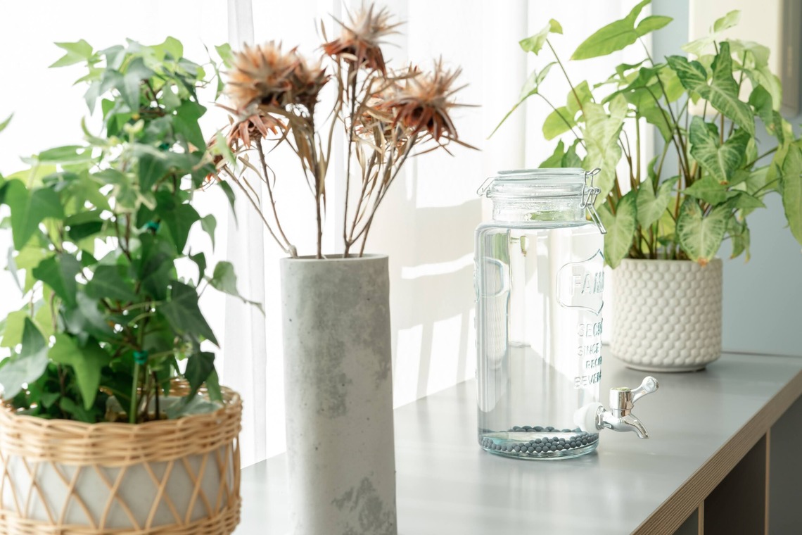 studio cactusが撮影した写真のアルバム「サロン撮影 - 店内／施術／商品」