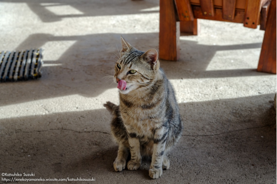 Katsuhiko Suzukiが撮影した写真のアルバム「レソト王国」