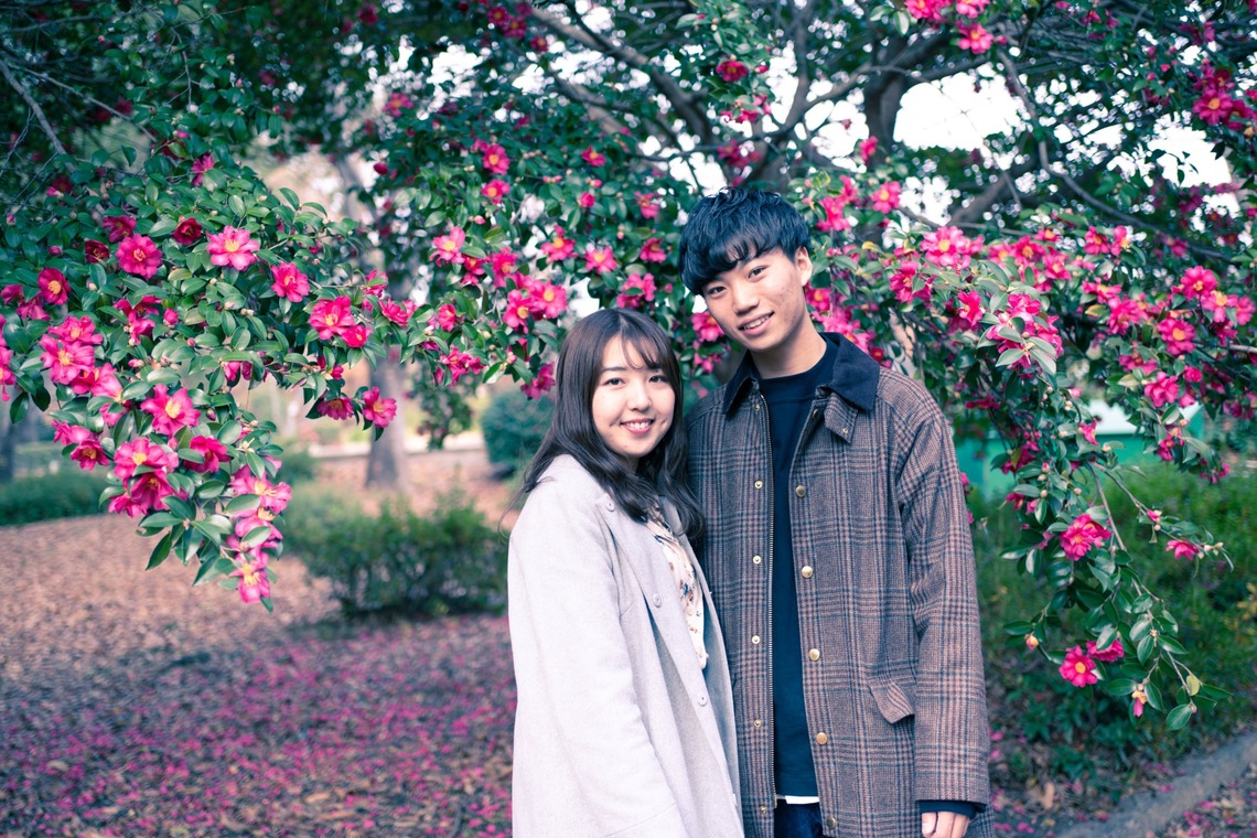 Field of the sun.creative