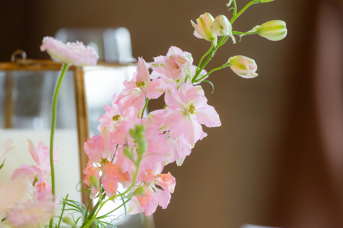 大橋　道裕が撮影した写真のアルバム「ウエディングパーティー撮影」