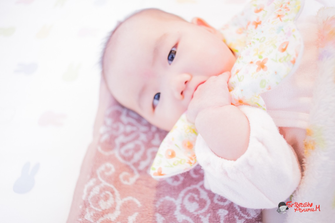 写真スペース　フォトラッシュが撮影した写真のアルバム「宇部市出張撮影」