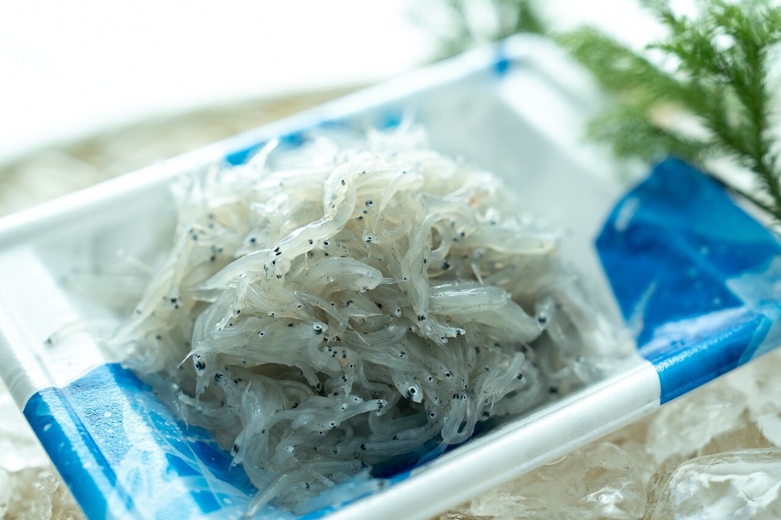 Photography_KanaUが撮影した「魚屋（豊洲市場）」の写真