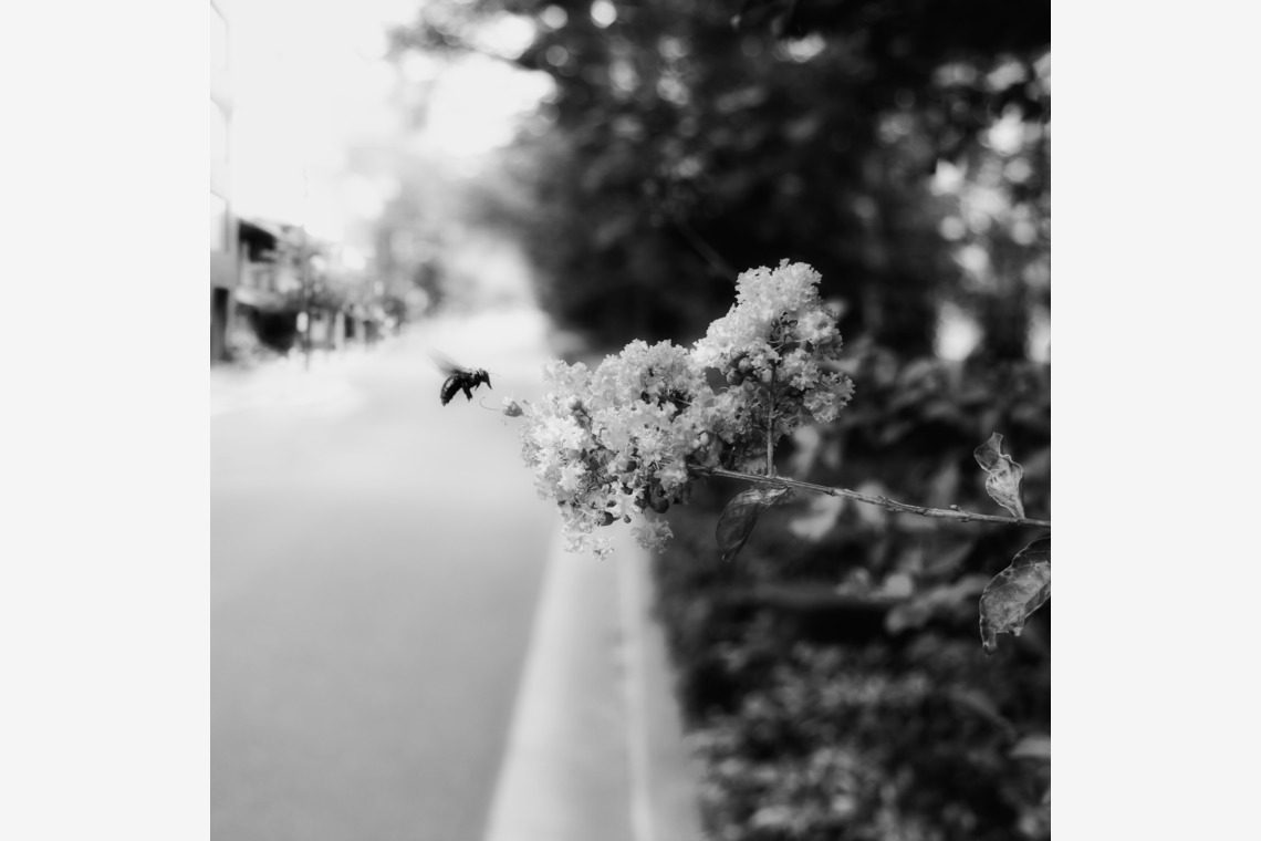 kiharu&photoが撮影した写真のアルバム「風景【ロケ撮影】」