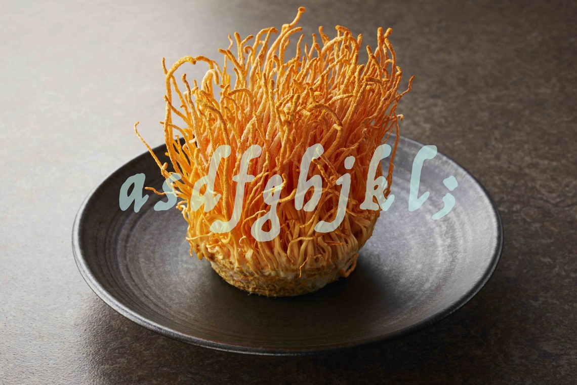 西原毅が撮影した写真のアルバム「高級素材」