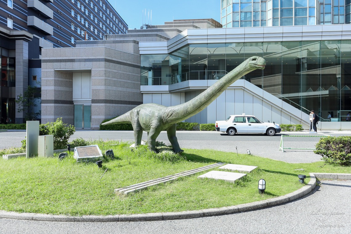 なかがわさとみが撮影した写真のアルバム「天空の女神フェス撮影」