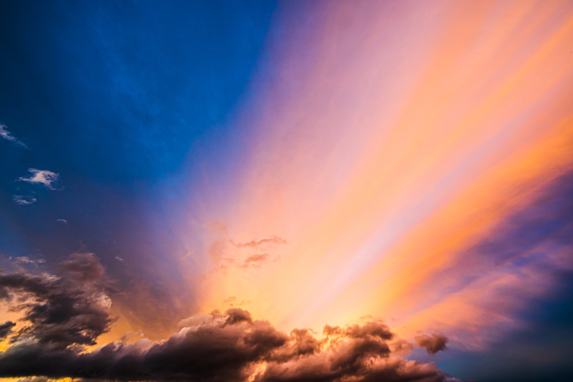 高木勇斗が撮影した「風景　物撮り」の写真