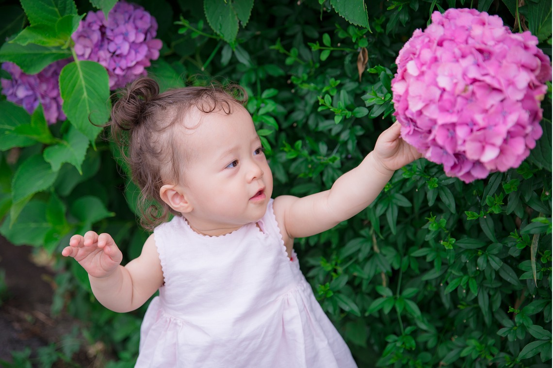 池田尚史が撮影した「七五三、お子様・ご家族撮影、お宮参り等」の写真