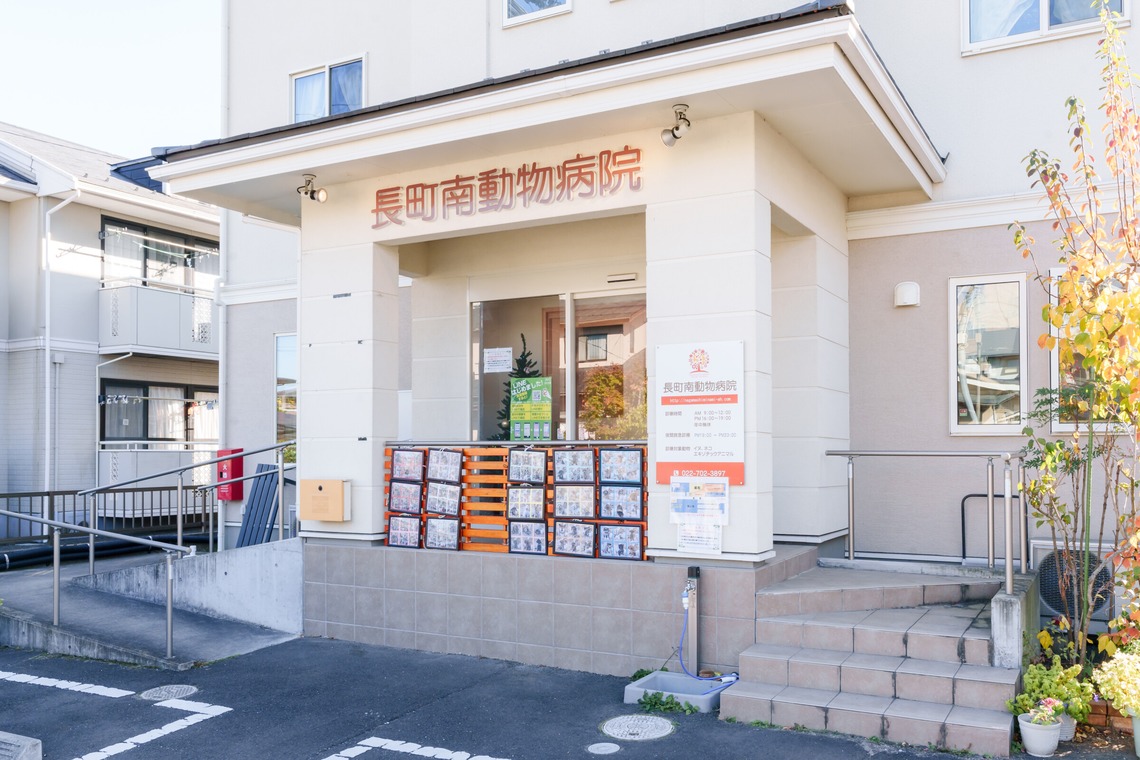 Kirari photoが撮影した写真のアルバム「動物病院」