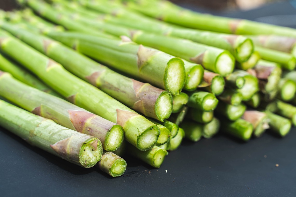 oryo studioが撮影した「記事」の写真