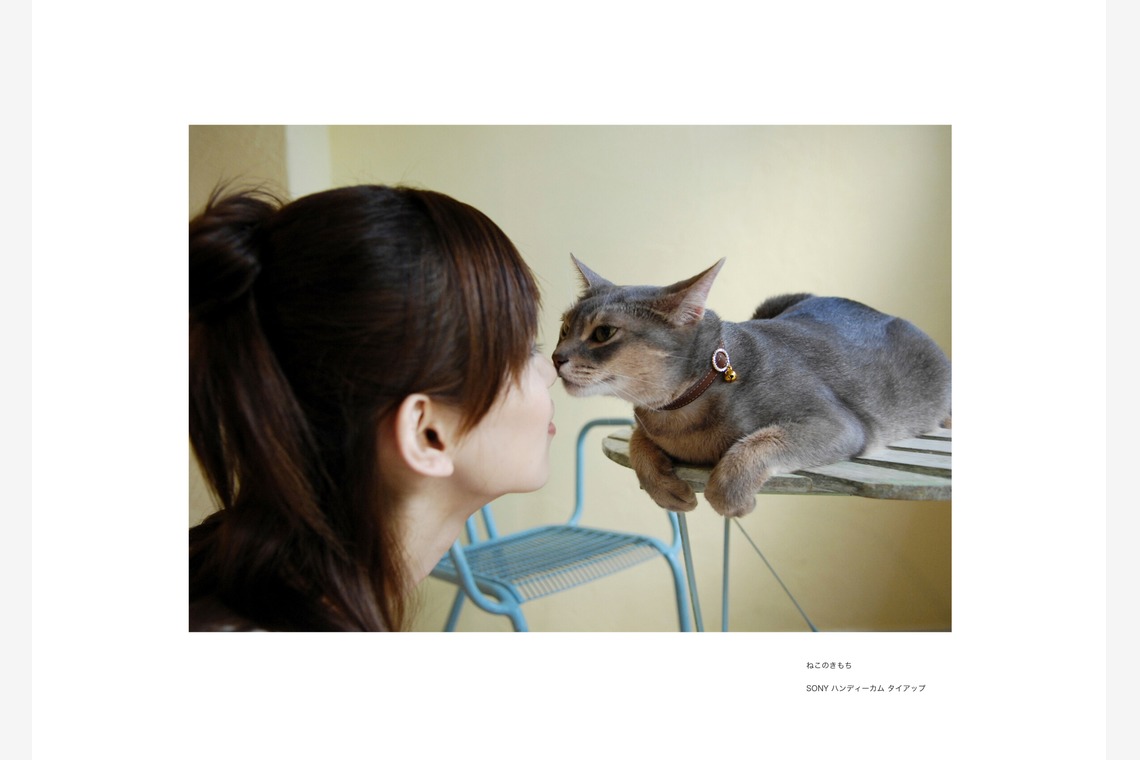 クマが撮影した写真のアルバム「ペット撮影」