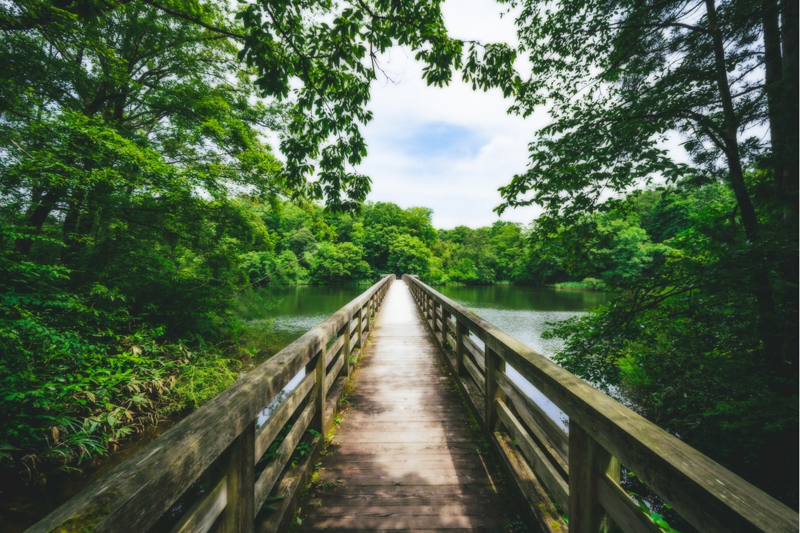 岡田　哲昇が撮影した写真のアルバム「風景スナップ」