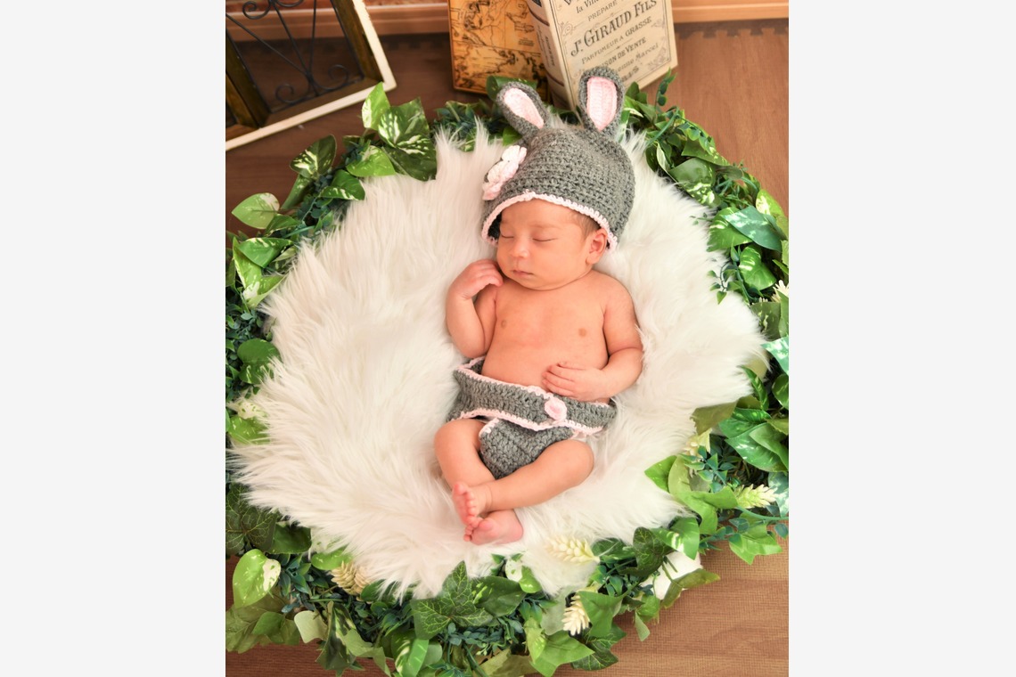 Photo la feliceが撮影した写真のアルバム「Photo la felice」