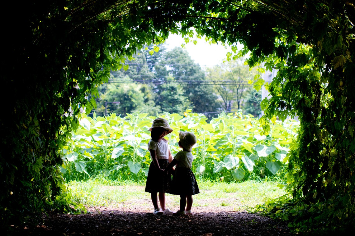 かわもとえつこが撮影した写真のアルバム「ファミリーフォト」