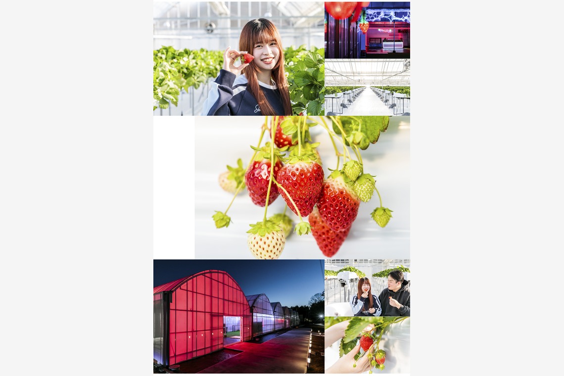 吉田寿仁が撮影した写真のアルバム「ホームページ撮影」