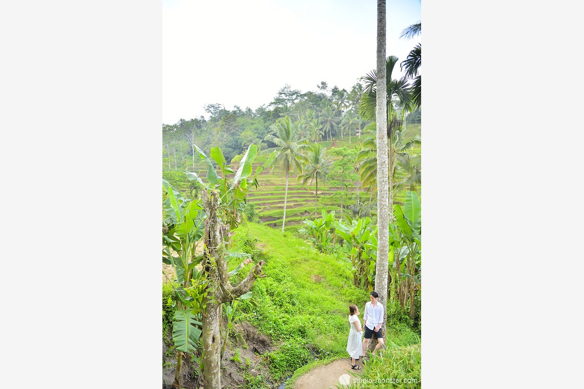 studio MONSTER（小原 実）が撮影した「フォトギャラリー」の写真