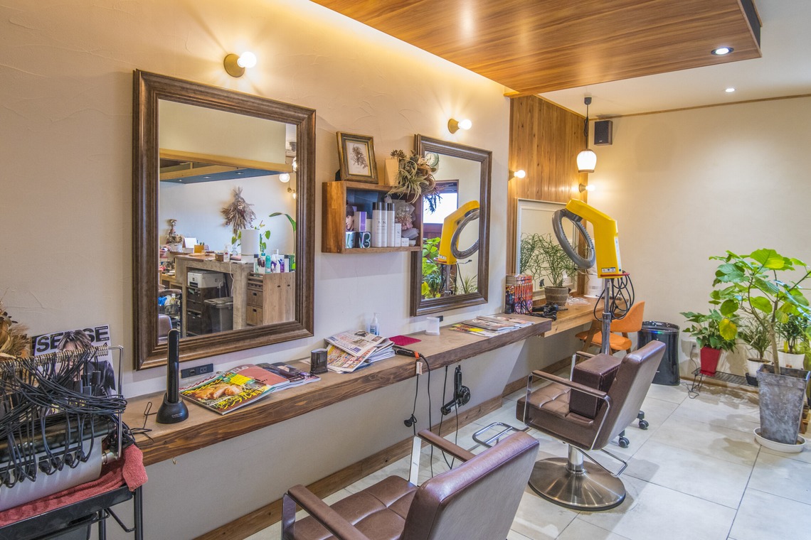 リトルダイナソー