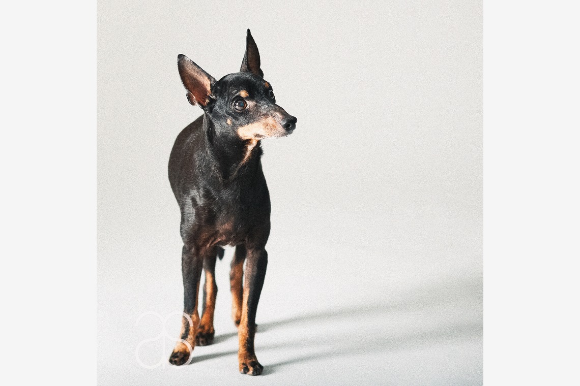 Photo Studio totteが撮影した「個人向け撮影」の写真