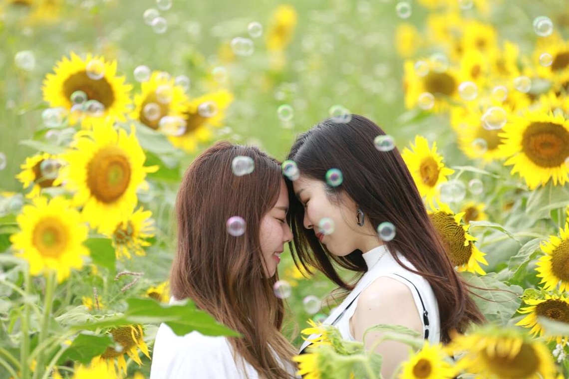 理 S PHOTOが撮影した「鼻高展望ひまわり畑」の写真