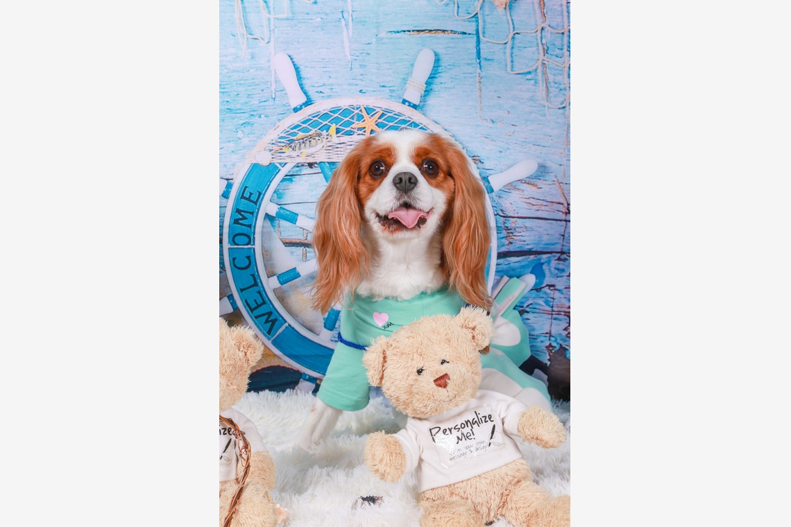 WithshopJapanが撮影した「ペット撮影」の写真