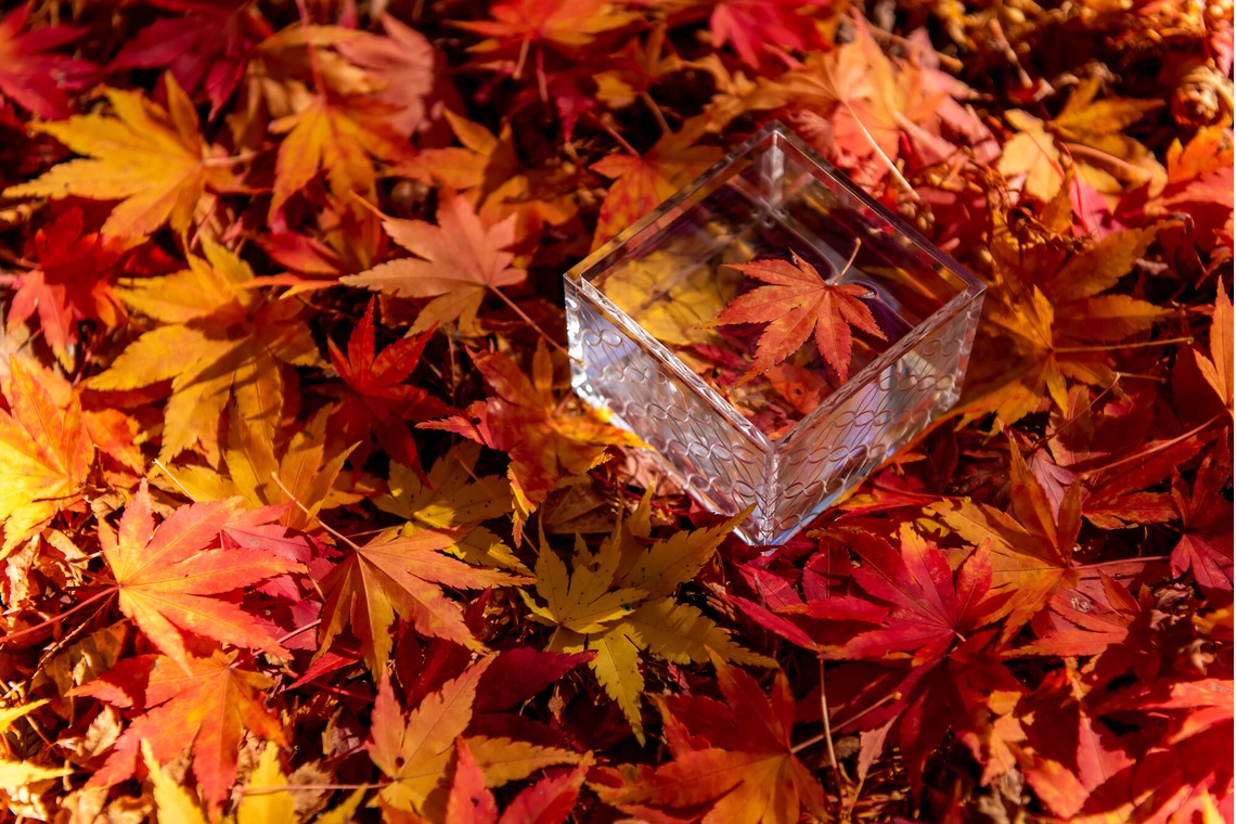 maruが撮影した「旅するアクリル枡」の写真