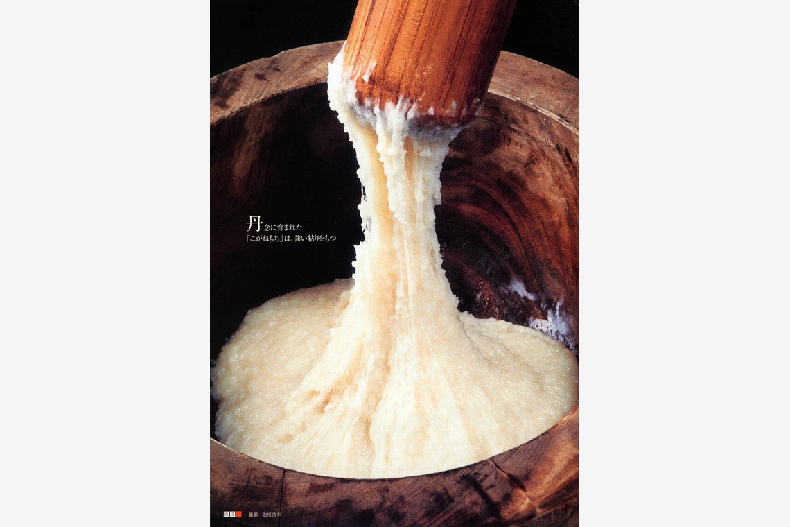 北尾浩幸写真事務所が撮影した「印刷物・雑誌掲載」の写真