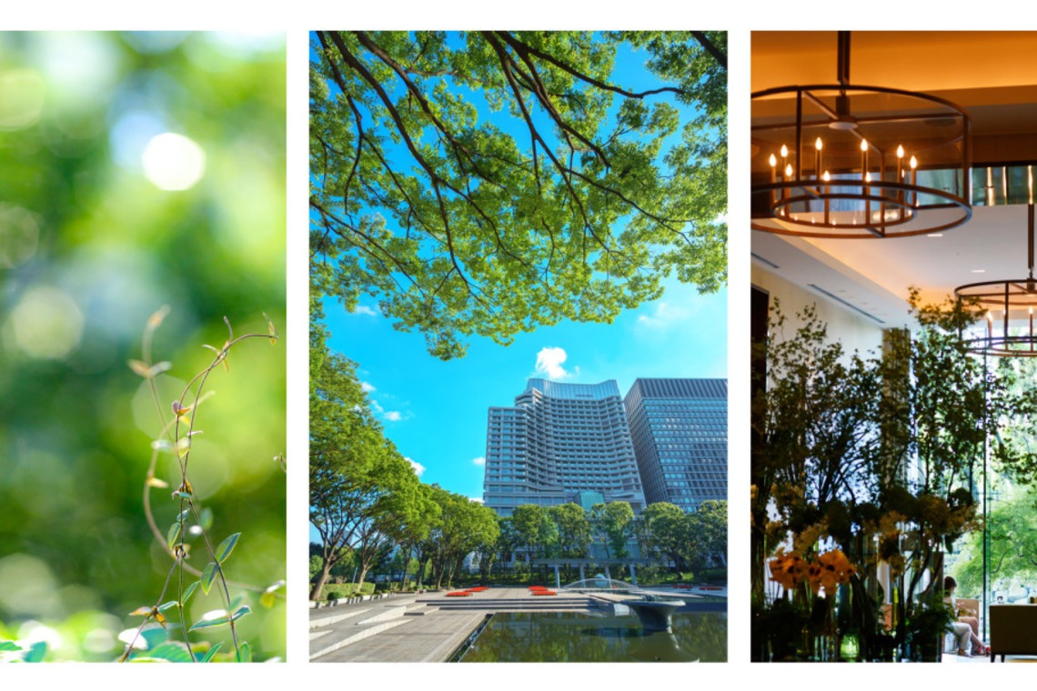 RINTARO UKON PHOTOGRAPHY