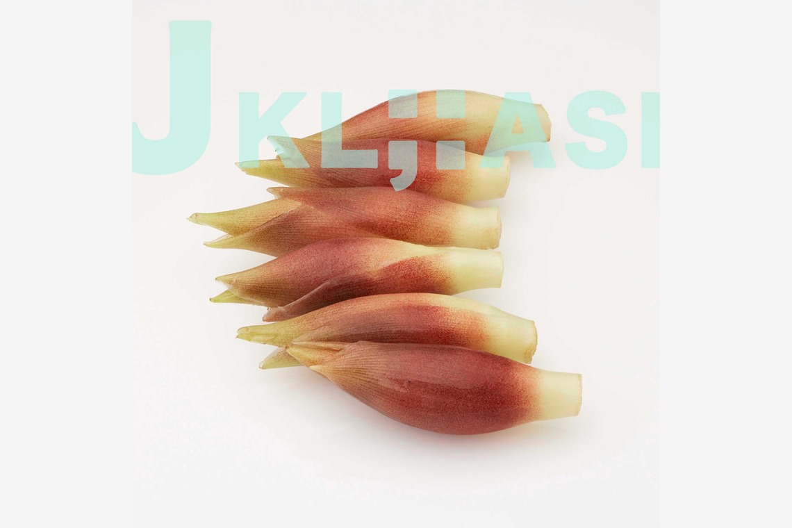 西原毅が撮影した「野菜、他」の写真