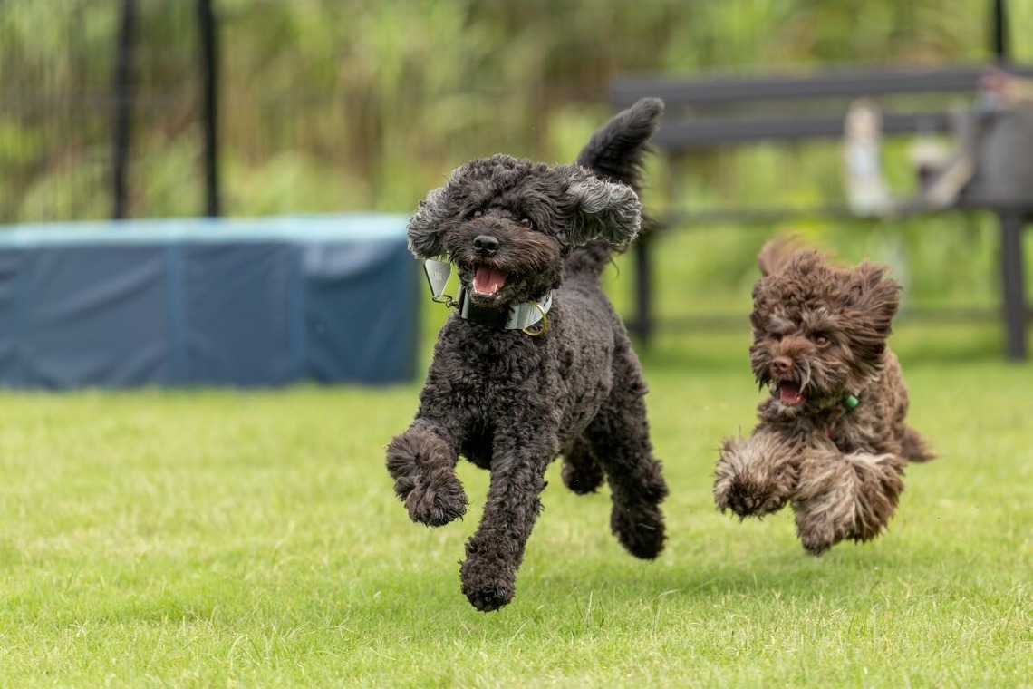 田中まさひろが撮影した「ポートレート」の写真