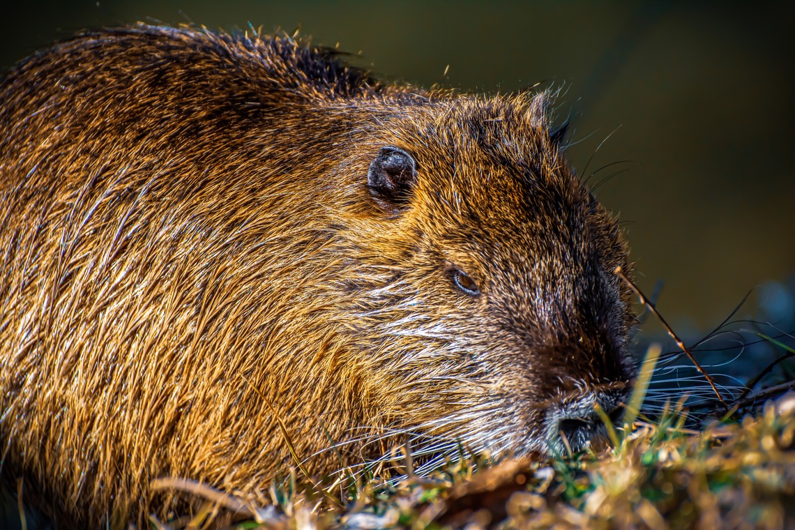 水嶋 将太が撮影した写真のアルバム「思い出。」