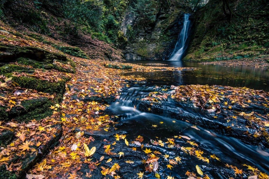 リトルダイナソーが撮影した「風景」の写真