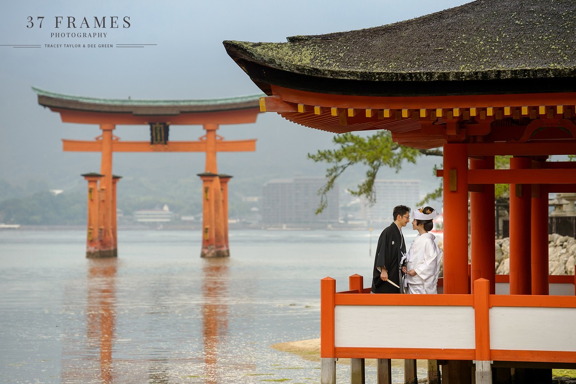 37 Frames Photographyが撮影した「フォトギャラリー」の写真