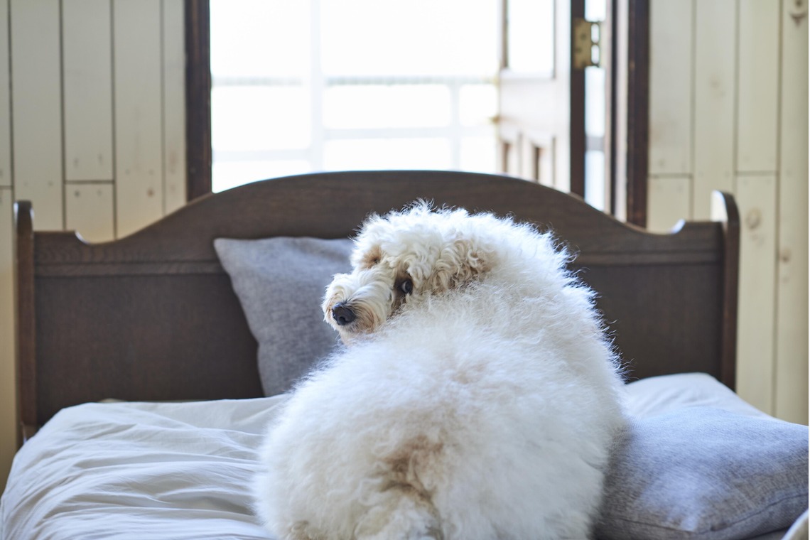大橋裕紀が撮影した「企業様ホームページ用商品撮影」の写真