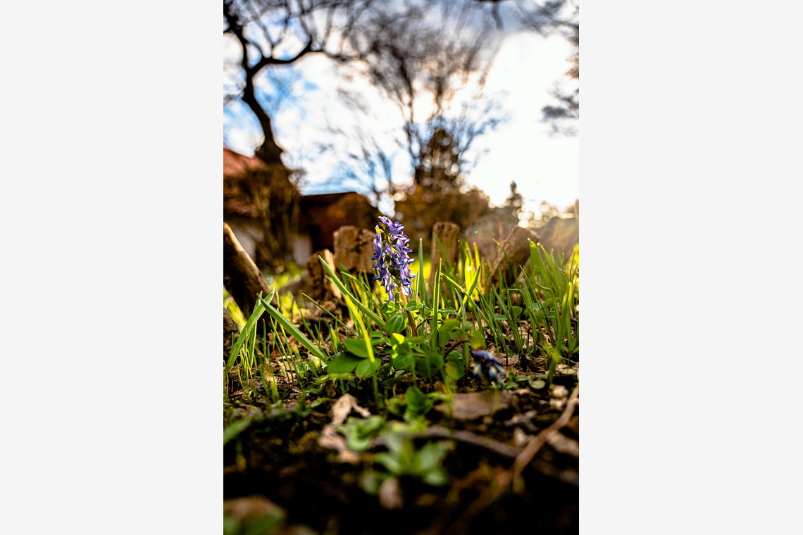 高木勇斗が撮影した「風景」の写真