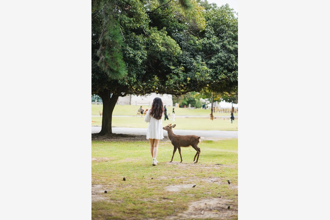 HIBI綴じ写真が撮影した写真のアルバム「ポートレート」