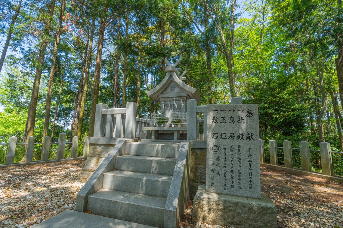 河野慈圓が撮影した「建築関係」の写真