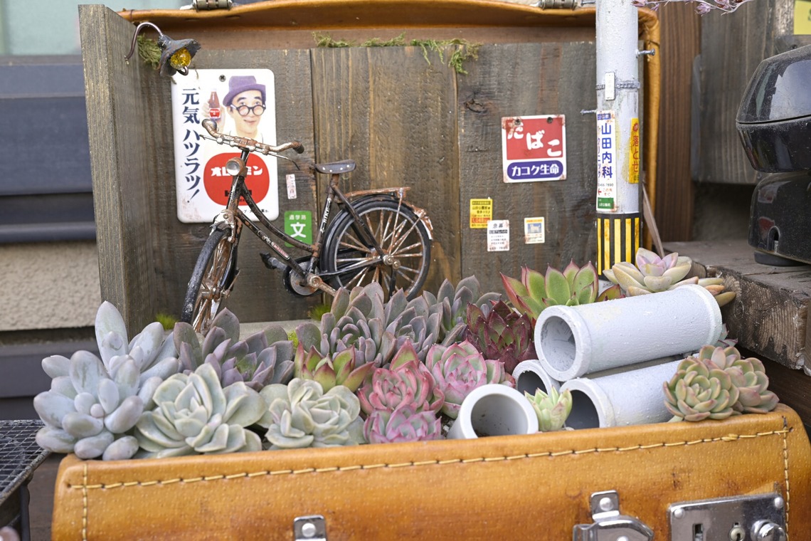 小野和也が撮影した写真のアルバム「グリーンショップ撮影」
