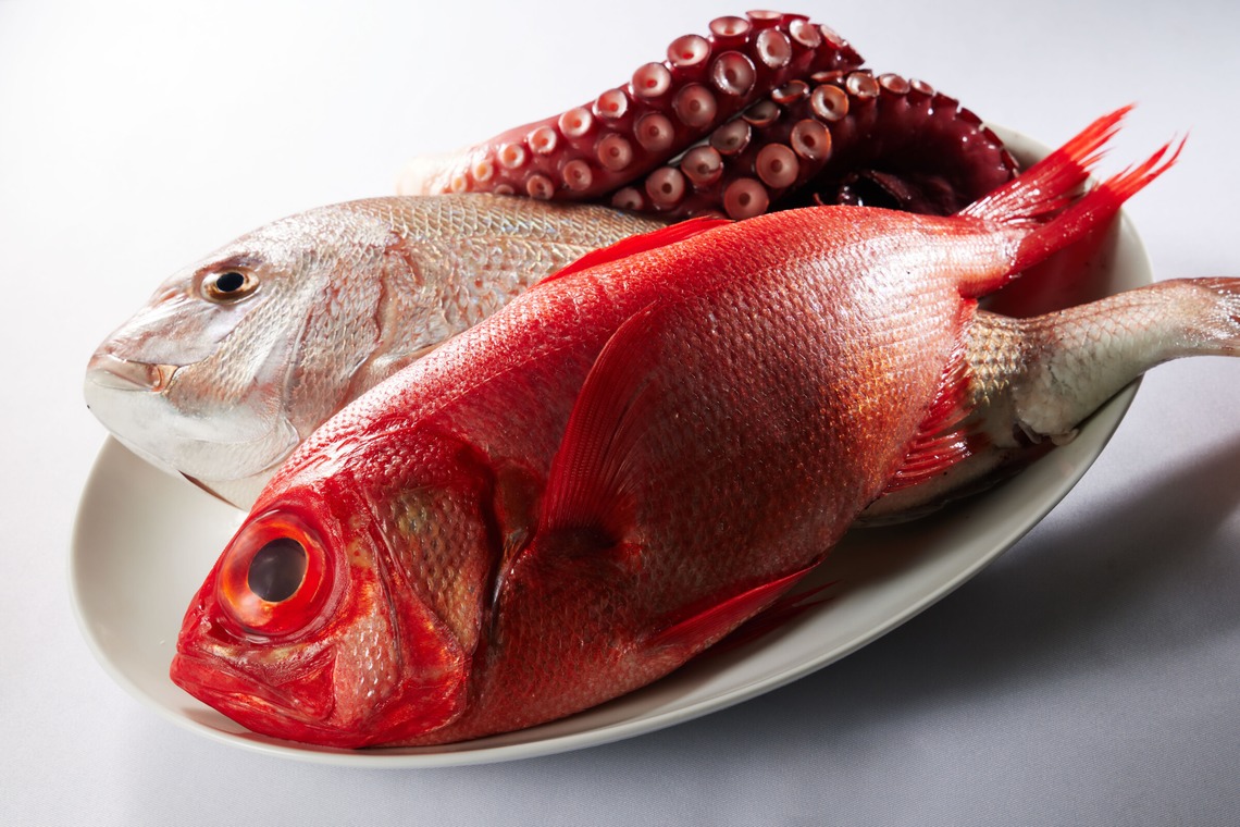 溝口拓が撮影した写真のアルバム「La Casetta様」