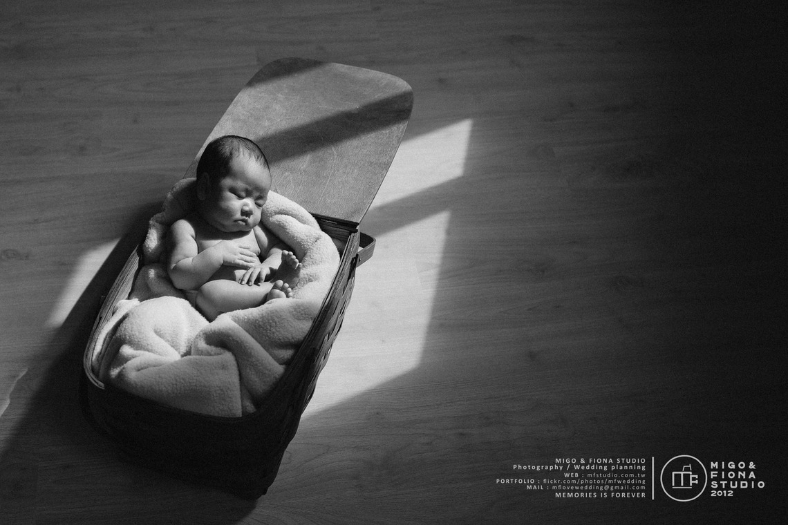 MF STUDIO Migoが撮影した写真のアルバム「新しい生まれの写真」