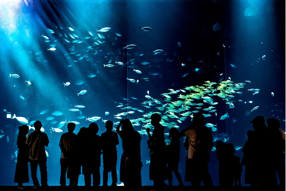 フォトスタジオ　ちっくたっくが撮影した写真のアルバム「風景」