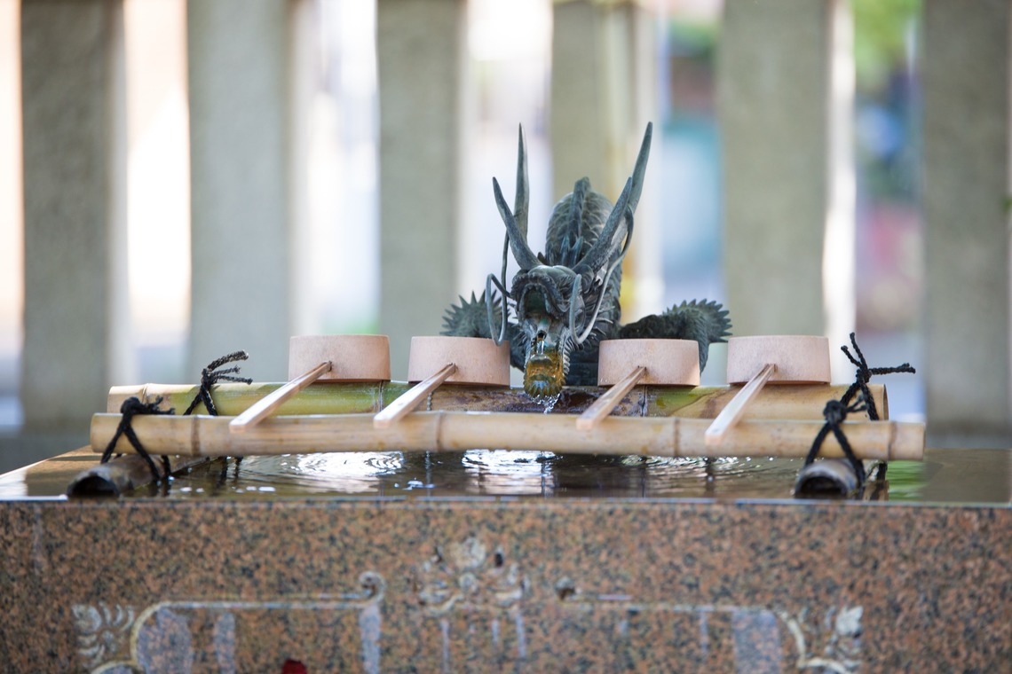 高野和希が撮影した写真のアルバム「七五三写真」