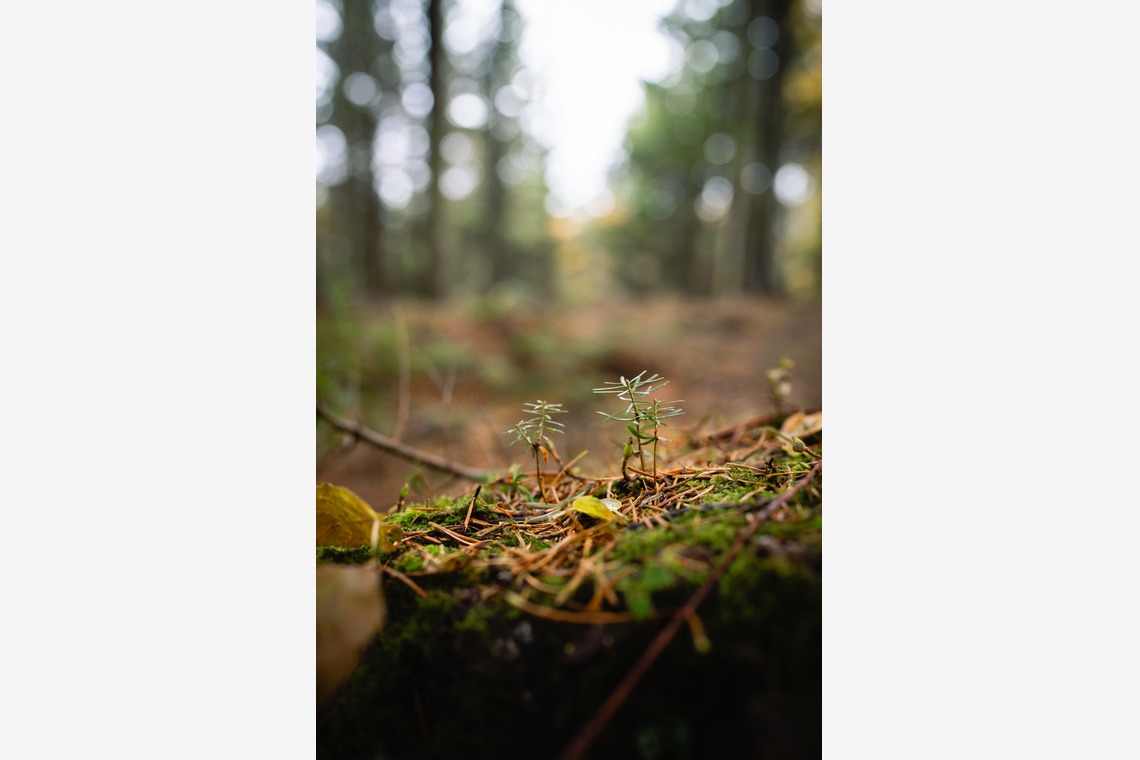 山腰　啓介が撮影した「建築/広告写真/スナップショット」の写真