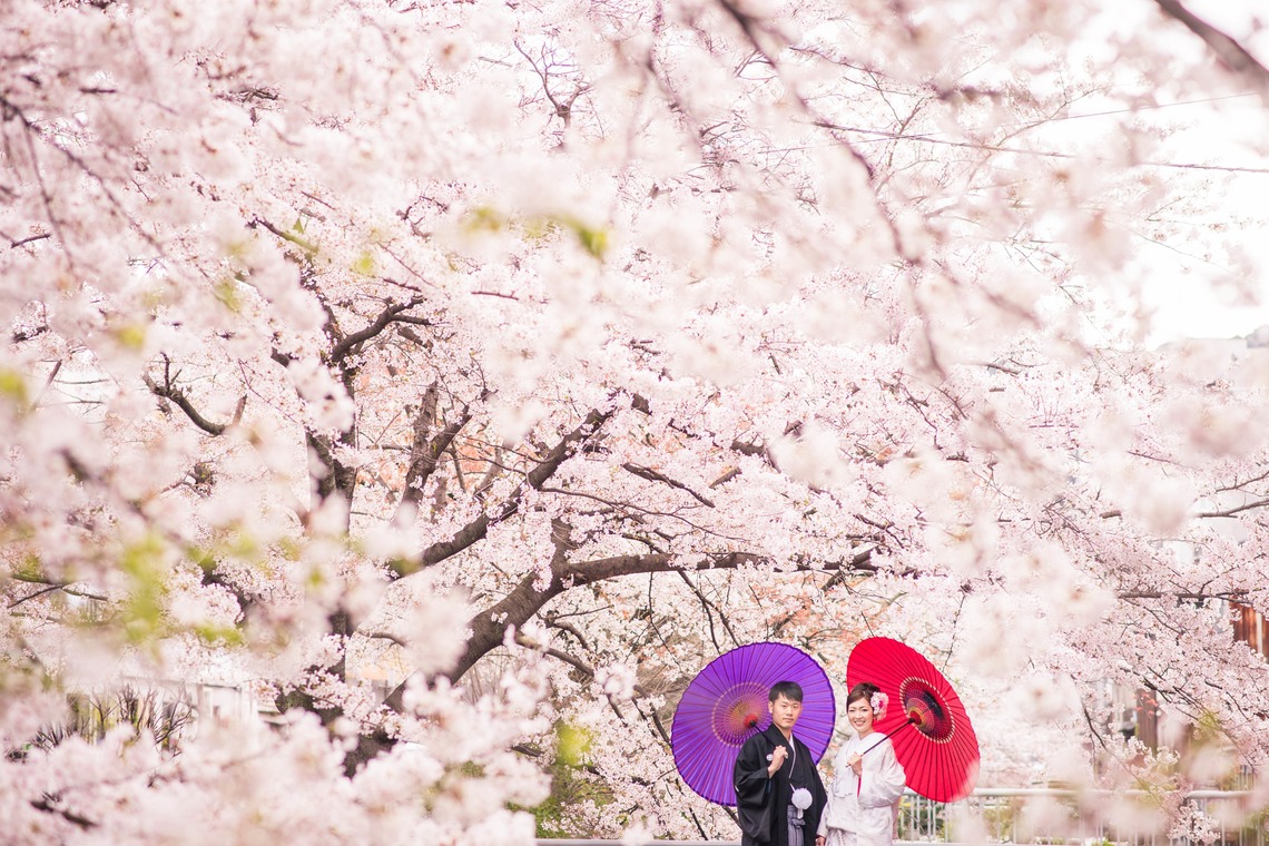 studio zeroが撮影した「京都」の写真