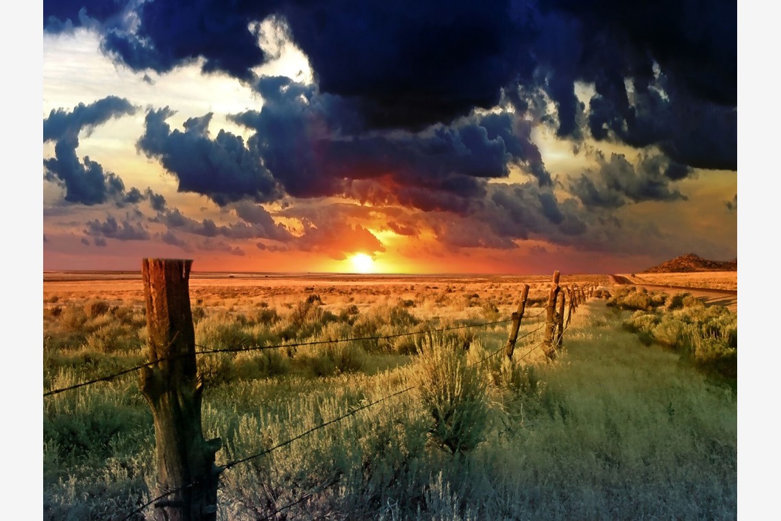 Orihusta photographyが撮影した「image」の写真