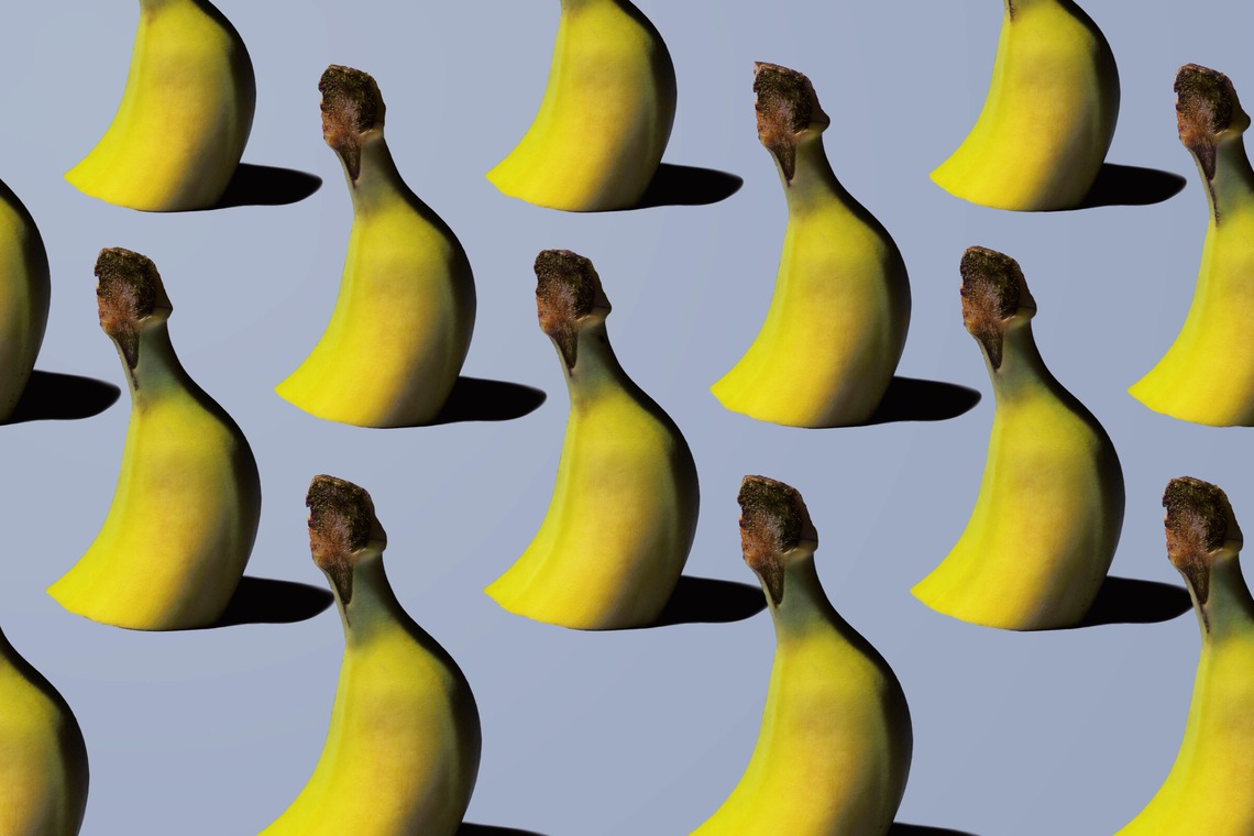 スタジオ11が撮影した写真のアルバム「様々な料理写真」