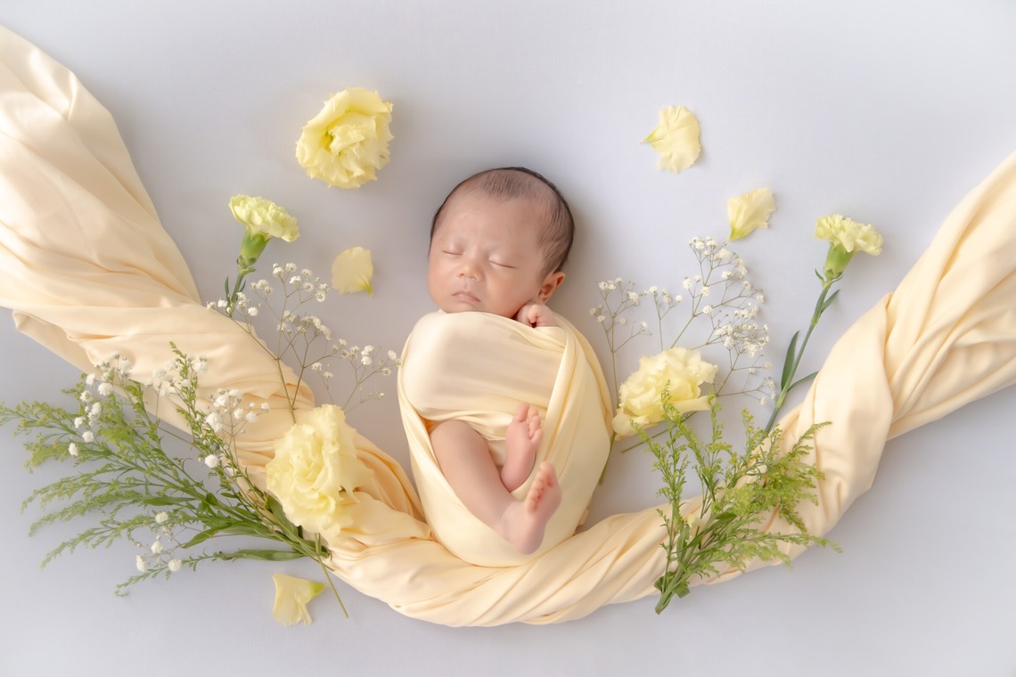 鈴木美咲が撮影した写真のアルバム「小田原にてニューボーンフォト」