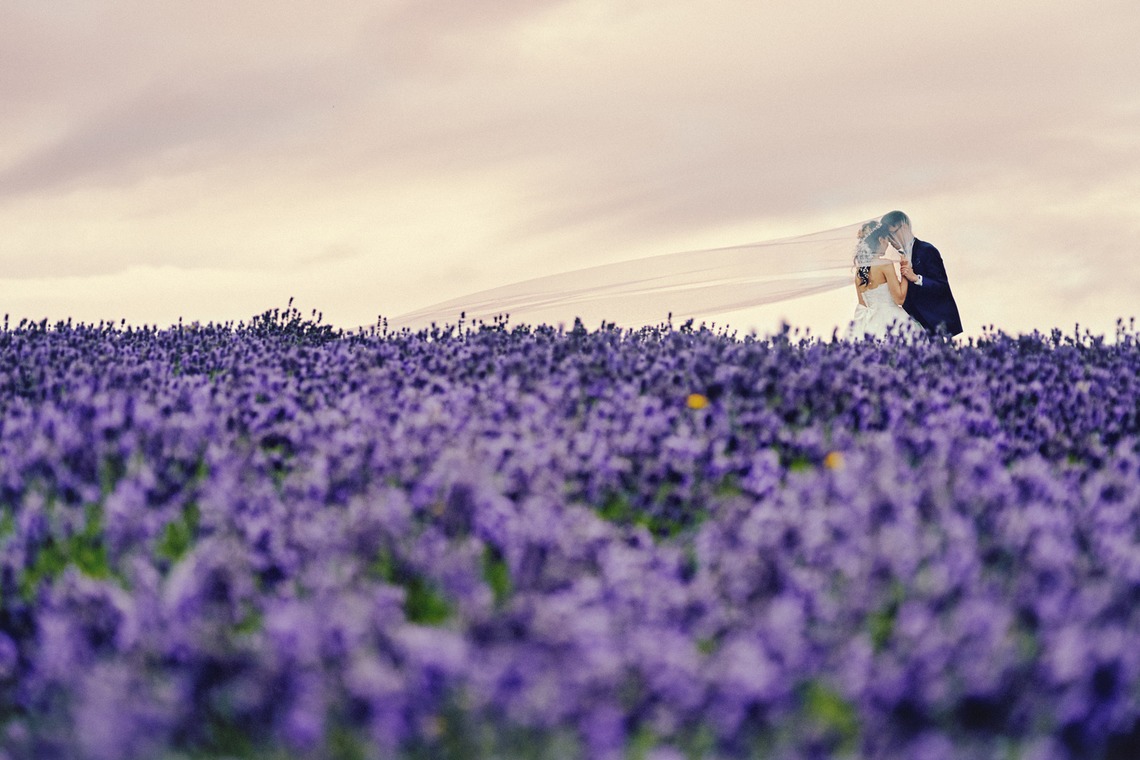 AMVER inc.が撮影した「ウエディングロケーション」の写真