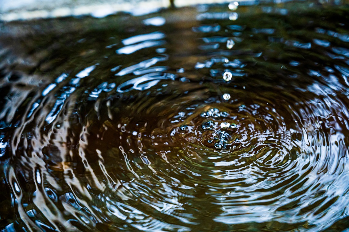 高木勇斗が撮影した「風景　物撮り」の写真