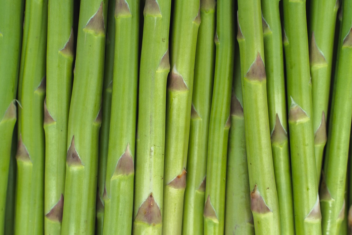 oryo studioが撮影した写真のアルバム「記事」